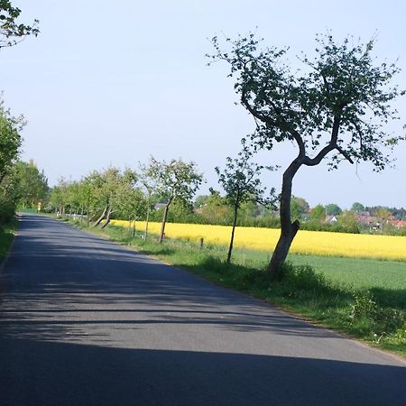 Ferienwohnung Im Grunen - Hof Blohme Langwedel  Exteriör bild