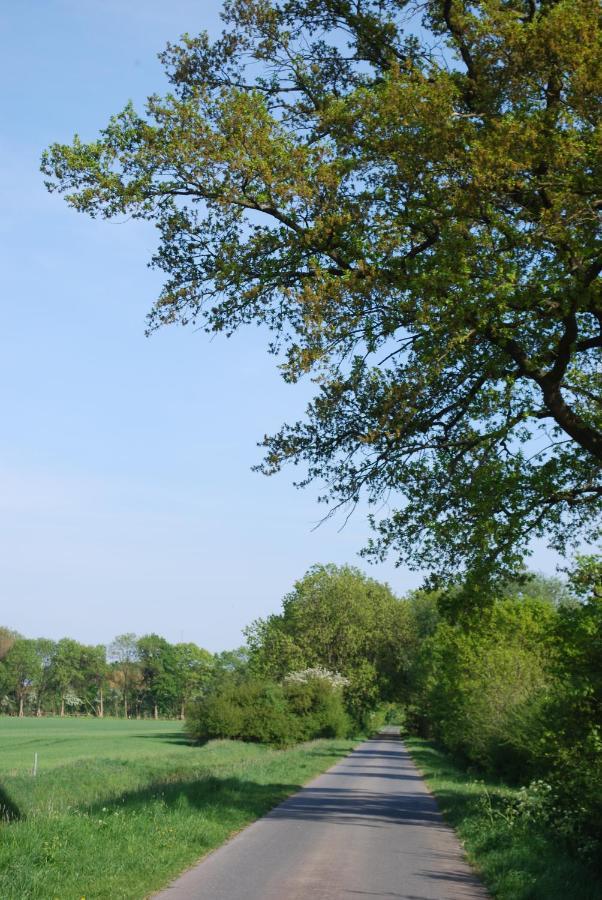 Ferienwohnung Im Grunen - Hof Blohme Langwedel  Exteriör bild