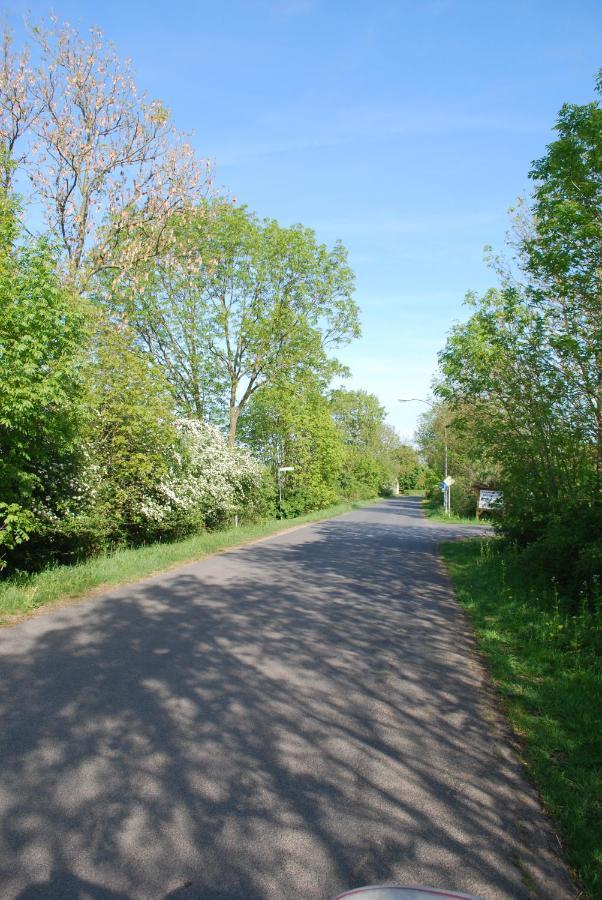 Ferienwohnung Im Grunen - Hof Blohme Langwedel  Exteriör bild